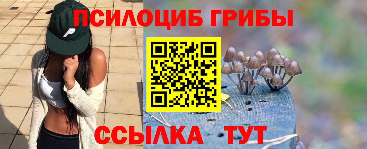 Галлюциногенные грибы прущие грибы  Псилоцибиновые грибы Psilocybe  Домодедово  закладки  Вход с VPN 